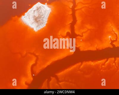 Rosa Salzteiche im Alviso Marina County Park Stockfoto