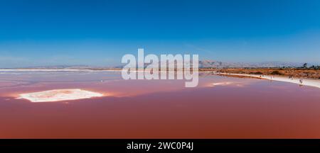 Rosa Salzteiche im Alviso Marina County Park Stockfoto