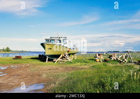 bateau de pêche vert en Cale sèche posé dans l'herbe Stockfoto