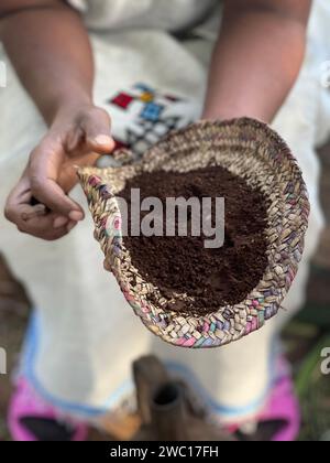 Handgemahlene Kaffeebohnen in einem Korb, getragen von schwarzen äthiopischen Frauenhänden Stockfoto