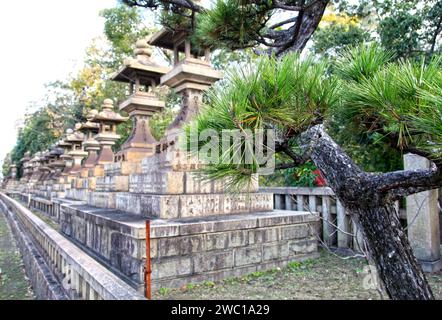 Sumiyoshi Taisha Großschrein in Osaka, Japan. Stockfoto