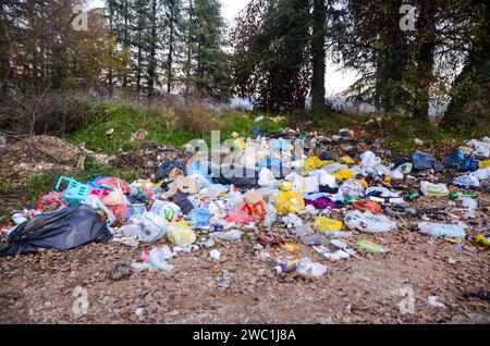 Illegales Dumping in der Natur. Mülldeponie im Wald. Umweltverschmutzung. Umwelt- und Umweltprobleme. Stockfoto