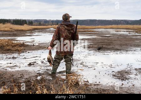 Ein Entenjäger steht auf einer schlammigen Bank und hält eine niedergeschlagene Ente (Stockenten drake) in der Hand. Er hat eine Schrotflinte über die Schulter geschleudert. Stockfoto