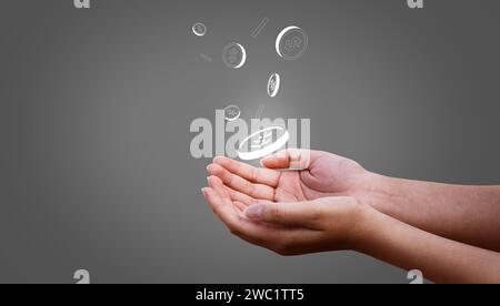 Hand öffnen und Münzsymbol halten. Investitions- und Finanzierungskonzept für die digitale Transformation Stockfoto