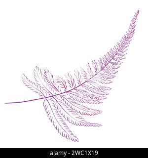 Aquarellfarbe lila Farnzweig. Waldbotanik, Pflanzen, Heilkräuter. Stockfoto