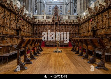 coro, Catedral de la Asunción de la Virgen, Salamanca, comunidad autónoma de Castilla y León, Spanien Stockfoto