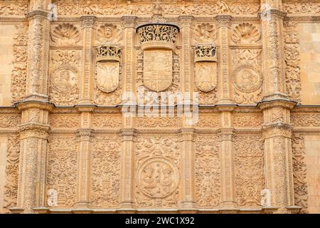 Fachada de la Universidad de Salamanca, 1529, estilo plateresco, Salamanca, comunidad autónoma de Castilla y León, Spanien Stockfoto