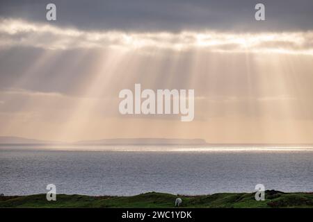 Atardecer, Neist Point, isla de Skye, Highlands, Escocia, Reino Unido Stockfoto