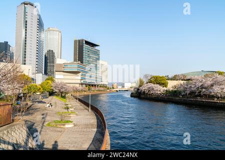 Blick von der Shinshigino Bridge of Osaka Business Park mit dem IMP-Gebäude, Panasonic Twin Towers und anderen, mit dem Okawa Fluss und Kirschblüten. Stockfoto