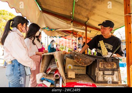 Sehen Sie während des Kirschblütenfestes den Essensstand im Osaka Castle Park entlang. Stallhalter, der Oktopusbällchen aus dem Herd einsackt, um zwei junge Frauen zu bedienen Stockfoto