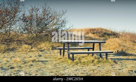 Picknicktisch und Bänke im Winter Stockfoto