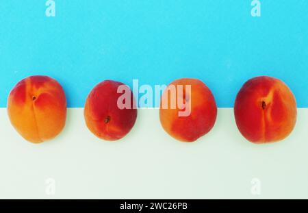 Vier Aprikosen von oben auf blauem und weißem Hintergrund. Stockfoto