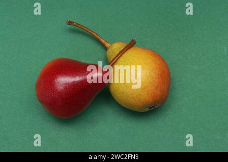 Rote und gelbe Birnen auf grünem Papierhintergrund. Stockfoto