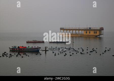 Srinagar Kaschmir, Indien. Januar 2024. Zugvögel schwimmen in den Gewässern des Dal-Sees in Srinagar. Jedes Jahr ziehen Tausende von Zugvögeln aus Zentralasien und Sibirien in die Wintersaison ins Kaschmir-Tal und in andere Teile Indiens. Am 13. Januar 2024 In Srinagar Kaschmir, Indien. (Kreditbild: © Firdous Nazir/OKULARIS via ZUMA Press Wire) NUR REDAKTIONELLE VERWENDUNG! Nicht für kommerzielle ZWECKE! Stockfoto