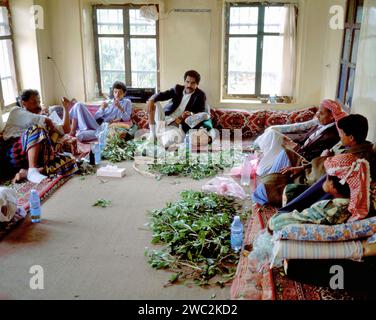 SANA’A, JEMEN-20. SEPTEMBER 2021: Männer kauen am frühen Nachmittag zusammen zu Hause das traditionelle Qat Stockfoto