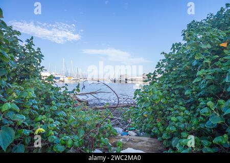 Itajaí-sc, brasilien-januar 11,2024, Boote und Yachten parkten an einem sonnigen Tag im Yachthafen der Stadt. Stockfoto