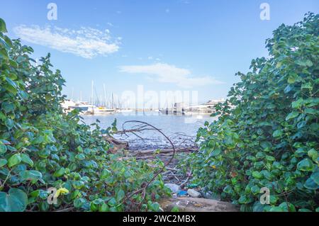 Itajaí-sc, brasilien-januar 11,2024, Boote und Yachten parkten an einem sonnigen Tag im Yachthafen der Stadt. Stockfoto