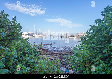 Itajaí-sc, brasilien-januar 11,2024, Boote und Yachten parkten an einem sonnigen Tag im Yachthafen der Stadt. Stockfoto