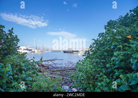 Itajaí-sc, brasilien-januar 11,2024, Boote und Yachten parkten an einem sonnigen Tag im Yachthafen der Stadt. Stockfoto