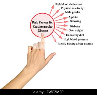 Risikofaktoren für Herz-Kreislauf-Erkrankungen Stockfoto