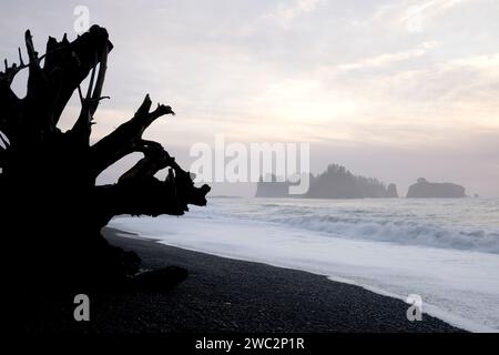 WA24668-00....WASHINGTON - James Island vom Rialto Beach im Olympic National Park aus gesehen. Stockfoto