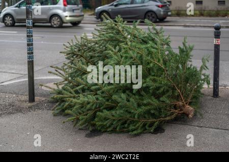 Undekorierter Weihnachtsbaum wartet auf Sammlung zur umweltfreundlichen Entsorgung nach der Verwendung zu Weihnachten, Berlin, Deutschland, Europa Stockfoto