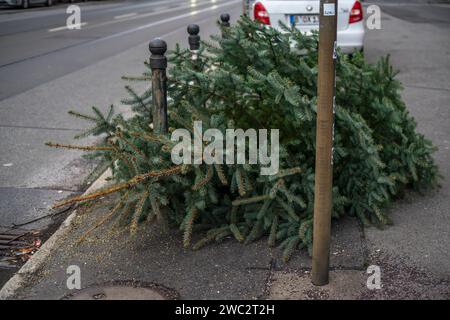 Undekorierter Weihnachtsbaum auf dem Bürgersteig wartet auf Sammlung zur umweltfreundlichen Entsorgung nach der Verwendung zu Weihnachten, Berlin, Deutschland, Europa Stockfoto