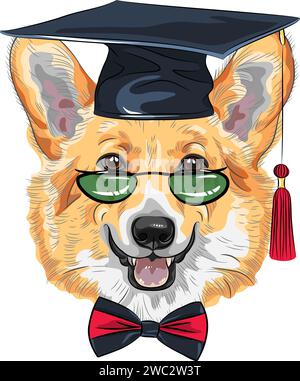 Vektor graduierte Hund Pembroke Welsh Corgi Rasse in Brille und Fliege Stock Vektor