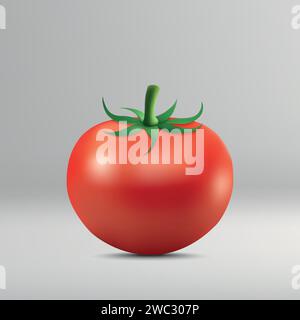 Tomate isoliert auf weißem Hintergrund. Fotorealistische Vektorillustration Stock Vektor