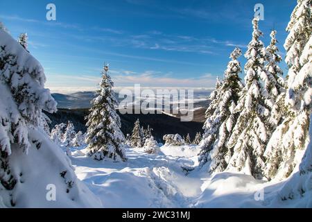 Blick auf die Winterlandschaft vom Isergebirge Hory oder Isergebirge, schneebedeckte Wälder, Tschechische Republik Stockfoto