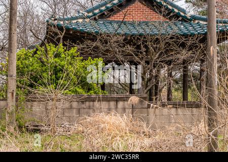 Pavillon im alten orientalischen Stil, umgeben von einer Betonmauer in einem bewachsenen Waldgebiet in Südkorea Stockfoto