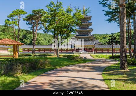 Buyeo, Südkorea, 7. Juli 2018: Bürgersteig führt zum Haupttor des Neungsa Baekje Tempels mit fünfstöckiger Pagode Stockfoto