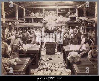 Arbeiter sortieren und verarbeiten Wolle in einer Fabrik in Burrawang, Charles Henry Kerry, 1890 - 1900 Foto Burrawang Papieralbumendruck Spezialverfahren für Wollgewebe Burrawang Stockfoto