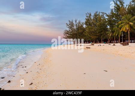 Wunderschöner abgelegener tropischer Strand mit weißem Sand und Muscheln im blauen und rosa Licht des Sonnenuntergangs Stockfoto