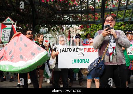 Lima, Peru. Januar 2024. Dutzende gingen auf die Straßen von Lima, um im Rahmen eines Globalen Marsches für Palästina zu demonstrieren. Sie schließen sich Millionen weiterer Personen an, die an einem globalen Aktionstag für Palästina in mehr als 66 Städten in mindestens 36 Ländern marschieren werden. Quelle: Fotoholica Presseagentur/Alamy Live News Stockfoto