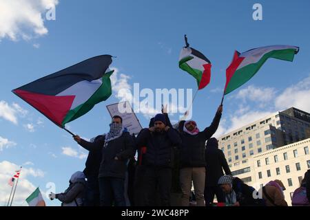Washington, DC, USA. Januar 2024. Demonstranten schwenken palästinensische Flaggen beim Marsch für Gaza auf dem Freedom Plaza. Quelle: Philip Yabut/Alamy Live News Stockfoto