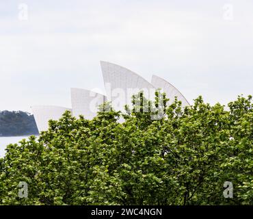 Abstraktes Detail der segelförmigen Dachschalen am Sydney Opera House, Bennelong Point, Sydney, New South Wales, Australien Stockfoto