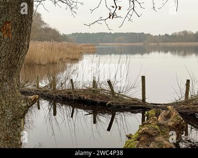 Frensham Little Pond, Frensham. Januar 2024. Ein kalter und bewölkter Start in den Tag für die Home Counties mit Temperaturen von rund 3 Grad celsius. Der Frensham Little Pond in der Nähe von Farnham in Surrey erwies sich als beliebter Ort für einen Spaziergang am frühen Morgen für Hundebesitzer und Fotografen. Quelle: james jagger/Alamy Live News Stockfoto