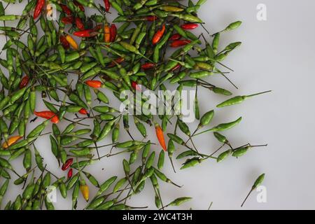 Lebendige Haufen frischer Kanthari-Paprika oder Chili aus Vogelaugen. Eine feurige und geschmackvolle südindische Delikatesse, die Würze und kulinarische Würze symbolisiert. Ideal für Stockfoto