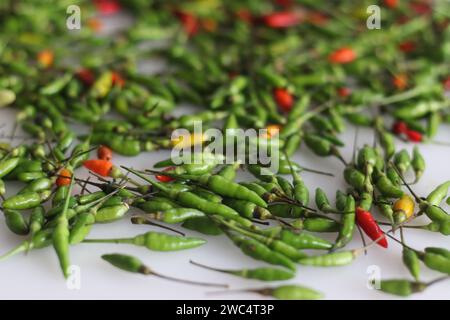 Lebendige Haufen frischer Kanthari-Paprika oder Chili aus Vogelaugen. Eine feurige und geschmackvolle südindische Delikatesse, die Würze und kulinarische Würze symbolisiert. Ideal für Stockfoto