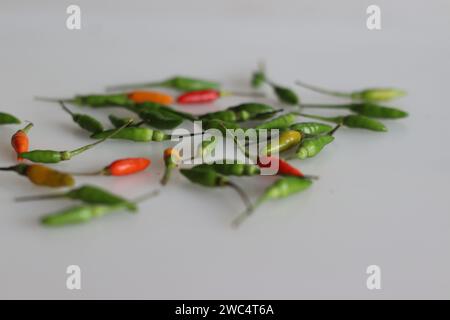 Frische Kanthari-Paprika oder Chili aus der Vogelauge. Eine feurige und geschmackvolle südindische Delikatesse, die Würze und kulinarische Würze symbolisiert. Ideal für Feinschmecker Stockfoto