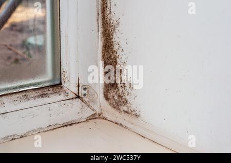 Schwarzer Schimmel an Fensterneigung, Kondenswasser an Kunststofffenster. Problem mit dem Einfrieren der Winterwand Stockfoto