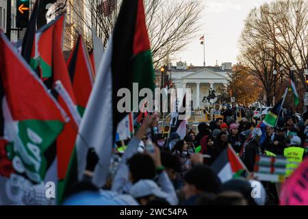 Washington, USA. Januar 2024. Demonstranten nehmen am 13. Januar 2024 an einem pro-palästinensischen marsch auf der Freedom Plaza in Washington, DC, USA, Teil. Quelle: Aaron Schwartz/Xinhua/Alamy Live News Stockfoto