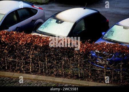 Kopenhagen, Dänemark /14. Januar 2024/Vechiles Windschild mit Frost in Kastrup bedeckt.. (Photo.Francis Joseph Dean/Dean Pictures) Stockfoto