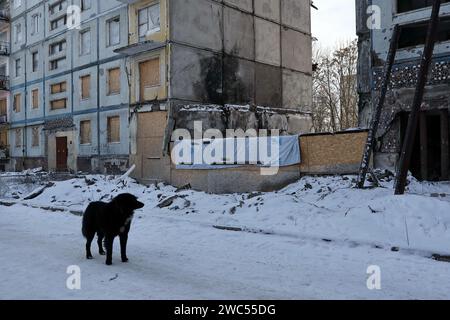 Zaporischzhia, Ukraine. Januar 2024. Ein streunender Hund läuft die Straße in der Nähe des Wohngebäudes entlang, das durch den russischen Beschuss in Zaporischzhia schwer beschädigt wurde. Der ukrainische Präsident Wolodymyr Zelenskij sagte, er sei jetzt positiver als im letzten Monat, dass sein Land neue finanzielle Hilfe von den USA erhalten würde. In Washington gab es jedoch keinen Hinweis darauf, dass die Zustimmung des Kongresses zu einem vom Weißen Haus vorgeschlagenen Hilfspaket in Kürze erfolgen würde. Quelle: SOPA Images Limited/Alamy Live News Stockfoto