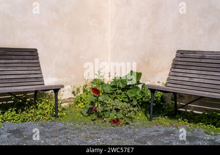 In der Ecke zweier von der Herbstsonne erwärmter Hauswände warten zwei verwitterte alte Holzbänke auf müde Parkbesucher. Stockfoto