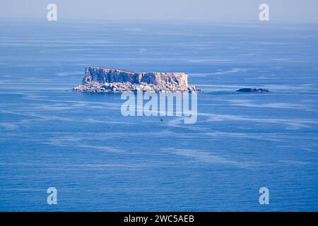 Blick auf die kleine felsige Insel Filfla auf Malta Stockfoto