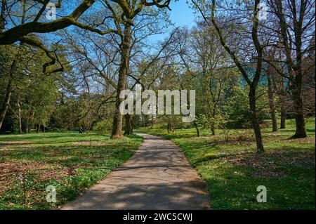 Eine Landschaft des Genfer Botanischen Gartens an einem sonnigen Tag, auch bekannt als Konservatorium und Botanischer Garten der Stadt Genf, Schweiz. Stockfoto