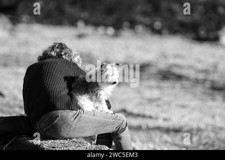 Der Hund sitzt auf dem Schoß des Besitzers am Strand Stockfoto