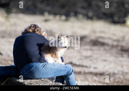 Der Hund sitzt auf dem Schoß des Besitzers am Strand Stockfoto